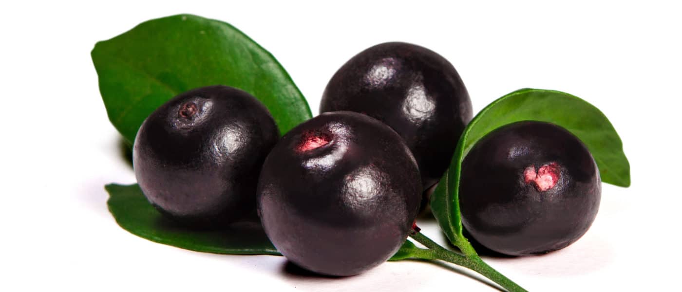 acai baer en frugt fra amazonas kendt som superfood 1400x600