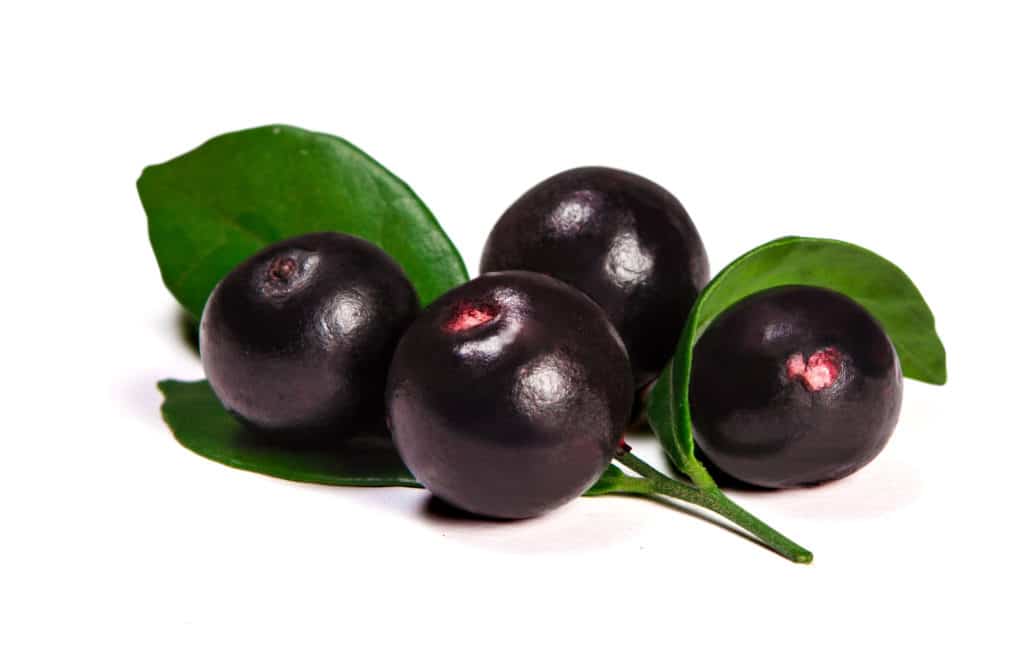 acai baer en frugt fra amazonas kendt som superfood 1024x646